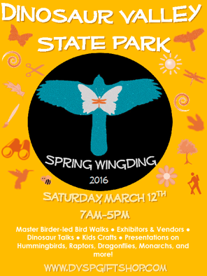 Spring Wing Ding 2016
