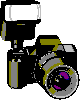 Return to the Photo Gallery